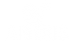 Anesis Comfort